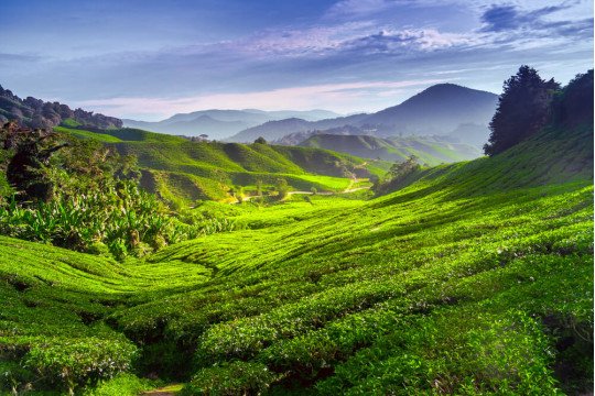 شهر عسل في ماليزيا – الجزر والمرتفعات